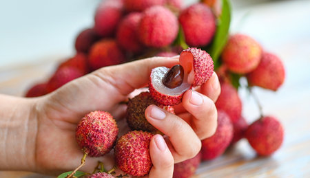 lychees on hand, fresh ripe lychee fruit tropical fruit peeled lychees slice in Thailand