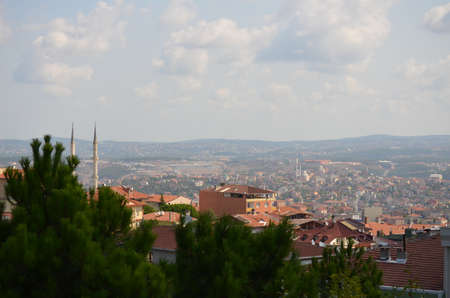 tree and town の写真素材