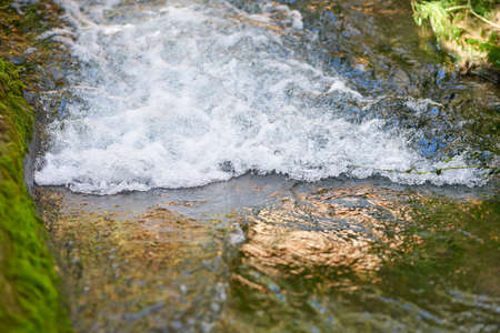 River in the natureの写真素材