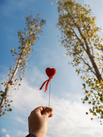 valentine's day concept shootの写真素材