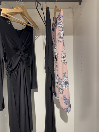 Dresses in the closetの写真素材
