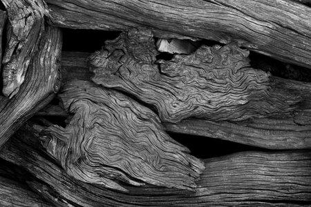 close up of old wood textureの写真素材