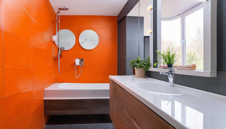 beautiful bathroom of a modern houseの素材