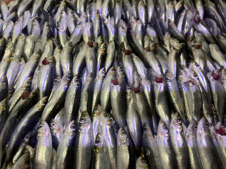 fresh fish at the market