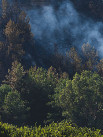 Forest fire and global warmingの写真素材