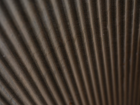 rustic closed shop shutterの写真素材