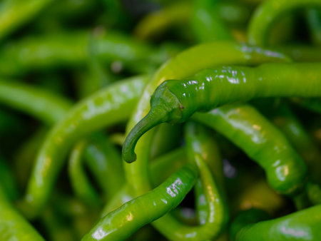 close-up of organic peppers