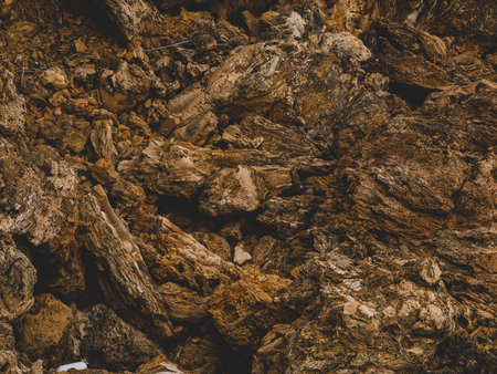close-up of ancient rock surfaceの写真素材