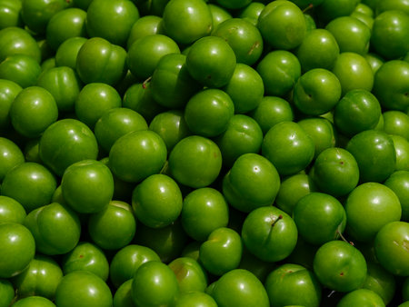 ripe plums freshly harvestedの写真素材