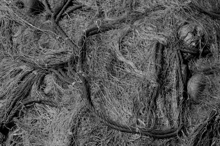 nets drying at seaside harborの写真素材