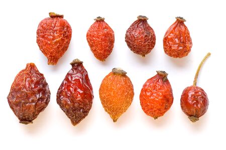 Rosa canina dried hipsの写真素材