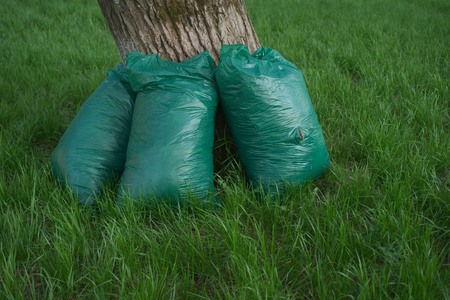 Bags of rubbish.の写真素材