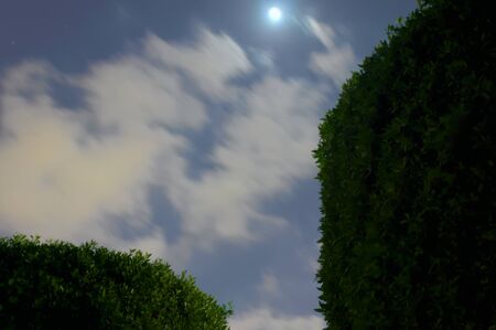 Magic night in Abu Dhabi.の写真素材