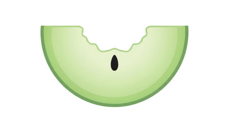 a simple illustration of a bitten honeydew melon slice with a single seed insideの素材