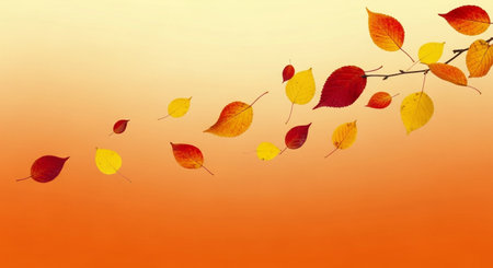 Autumn leaves background with space for your text, vector illustration.の素材