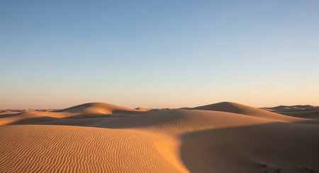 Desert sand dunes at sunset in Mui Ne, Vietnamの素材