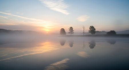 Beautiful foggy sunrise over the lake with trees in the foregroundの素材