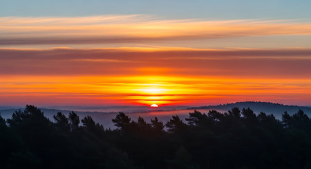 a scenic view of a sunrise in the forest with orange and yellow colors in the skyの素材