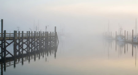 Wooden pier in a foggy morning at the end of summerの素材