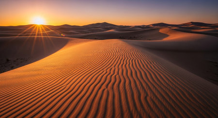 Sunset in the sand dunes of the Sahara desert, Moroccoの素材