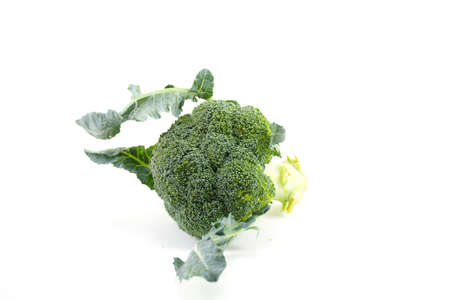 Fresh Broccoli isolated.on white background.Vegetable.centerの写真素材