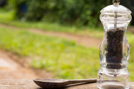 Black pepper bottles and wooden spoon on nature background.Close  up.01の写真素材