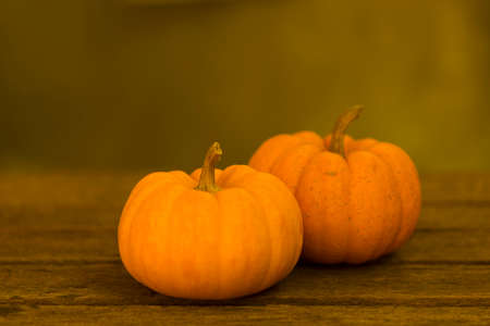 Pumkin or pumkin stillife on old wooden background. Autumn stillife dark tone.の写真素材