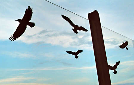 acoustic shieldingの写真素材