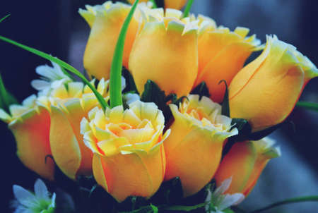 rose imitationの写真素材