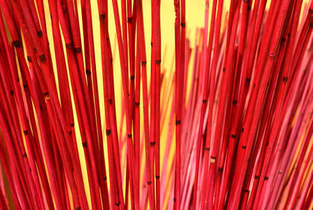 Timber decorative objectsの写真素材