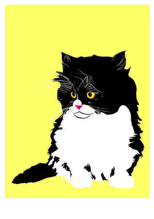 Persian kittenのイラスト素材