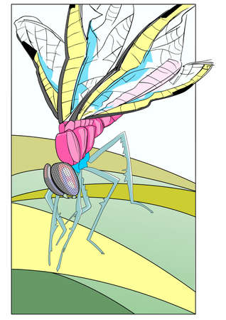dragonfly 2のイラスト素材