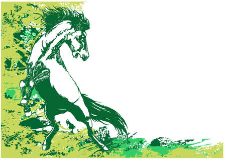 horse backgroundのイラスト素材