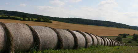 round bales landscapes