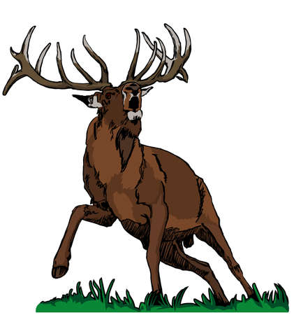 deer red colorsのイラスト素材