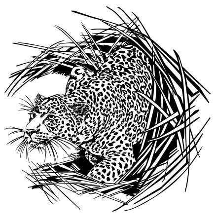 pantherのイラスト素材