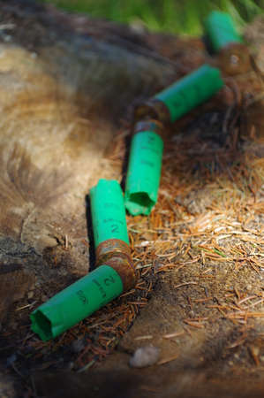 shotgun cartridges