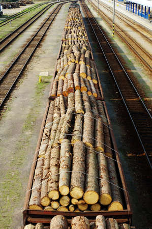 cargo timber trainの写真素材