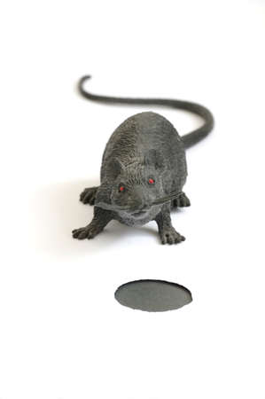 plastic toy mouse