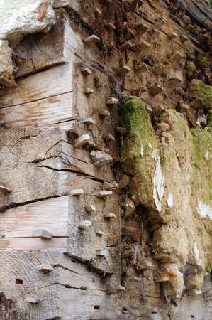 Old plaster building techniques timbered house building techniques
