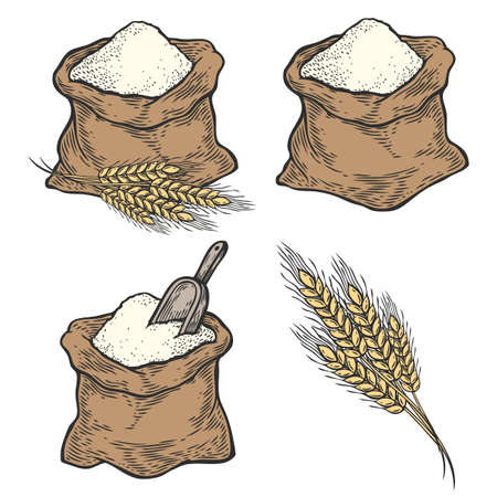 Sack with whole flour or sugar with ear wheat, scoop. Hand drawn sketch style. Vintage black vector engraving illustration set for label, web, flayer bakery shop. Isolated on white background.のイラスト素材