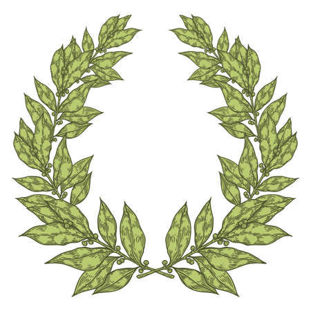 Laurel Green Bay leaf Hand drawn vector illustration. Vintage decorative laurel wreath. Sketch design elements. Perfect for invitations, greeting cards, quotes, blogs, posters and more.のイラスト素材