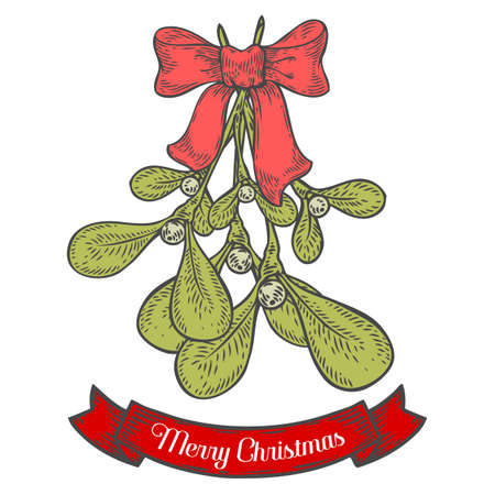 Hand drawn mistletoe plant with berry. Vector Christmas plant retro vintage style. Romantic Christmas illustration. Greeting card design. Vector new year mistletoe. Winter template.のイラスト素材