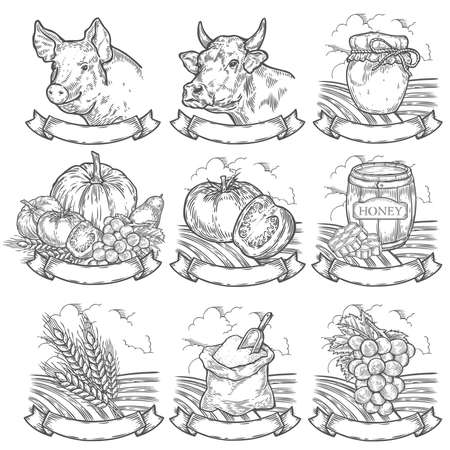 Farmers market, butchery, bakery badges. Retro farm vintage set vintage engraved sign isolated on white background. Sketch vector hand drawn illustration. Locally grown, fresh farm, fresh milk, honeyのイラスト素材