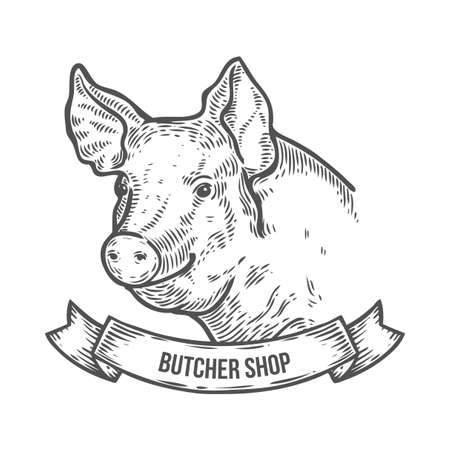 Pig head Butcher shop. Hand drawn sketch in a graphic style. Vintage vector engraving illustration with ribbon for poster, web. Isolated on white backgroundのイラスト素材