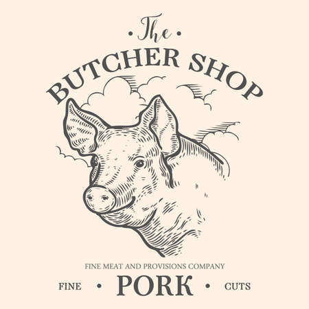 Pig head, Fresh pork organic meat. Hand drawn sketch in a graphic style. Vintage vector engraving illustration for poster, web. Isolated on white backgroundのイラスト素材