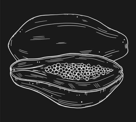 White outline illustration of papaya. Whole fruit and half papaya in doodle chalk style. Isolated objects on a black background ..のイラスト素材