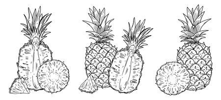 Three compositions of a whole Pineapple and halves of fruit. Black outline image on a white background. Doodle style ..のイラスト素材