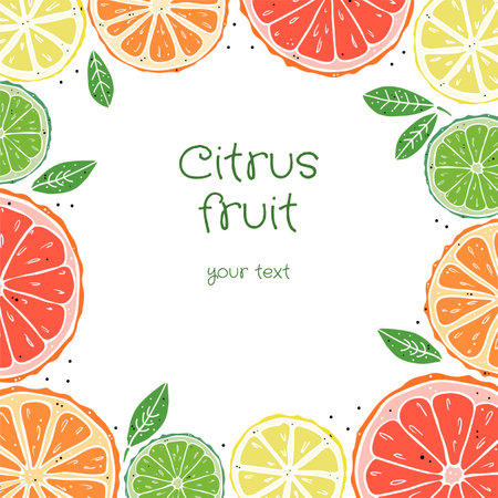 Square frame of citrus fruit and leaves on a white background. Doodle style. Doodle style. Place for your text.のイラスト素材