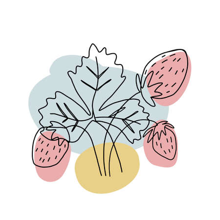 Plants are drawn with one line. Illustration of a strawberry bush with berries and leaves. Abstract colored spots on the background. Modern minimalist style.のイラスト素材